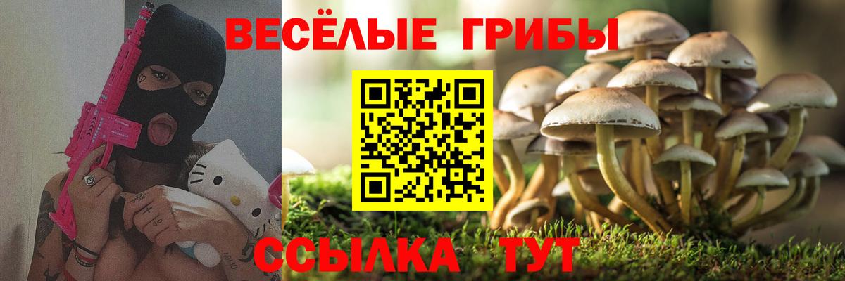 Галлюциногенные грибы мухоморы  Псилоцибиновые грибы мухоморы  магазин  наркотиков  Вход с VPN  Надым 